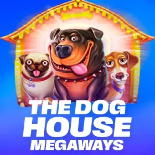Ganhe muito no Dog House Megaways na Gingabet.