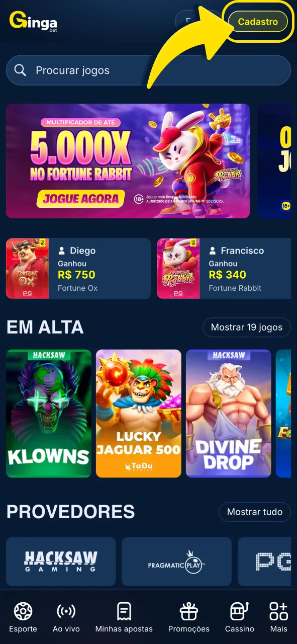 Crie seu perfil na Gingabet agora.