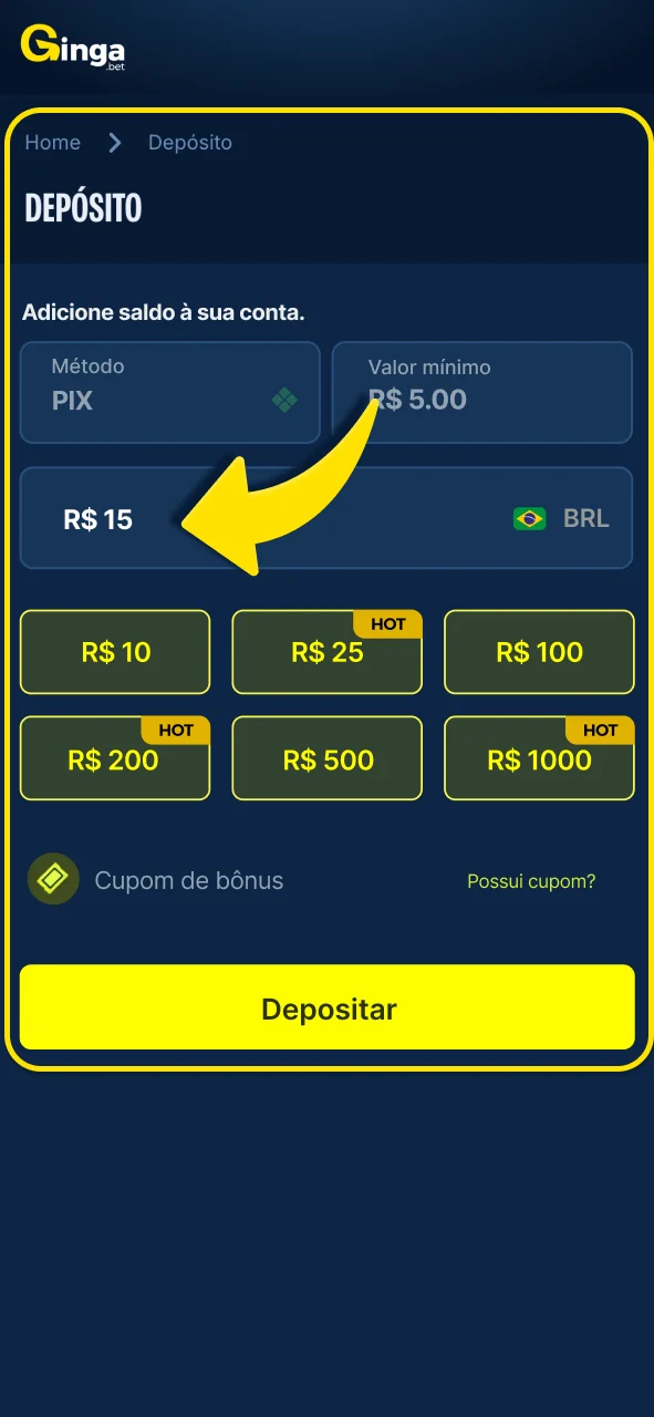 Faça seu depósito na Gingabet agora.