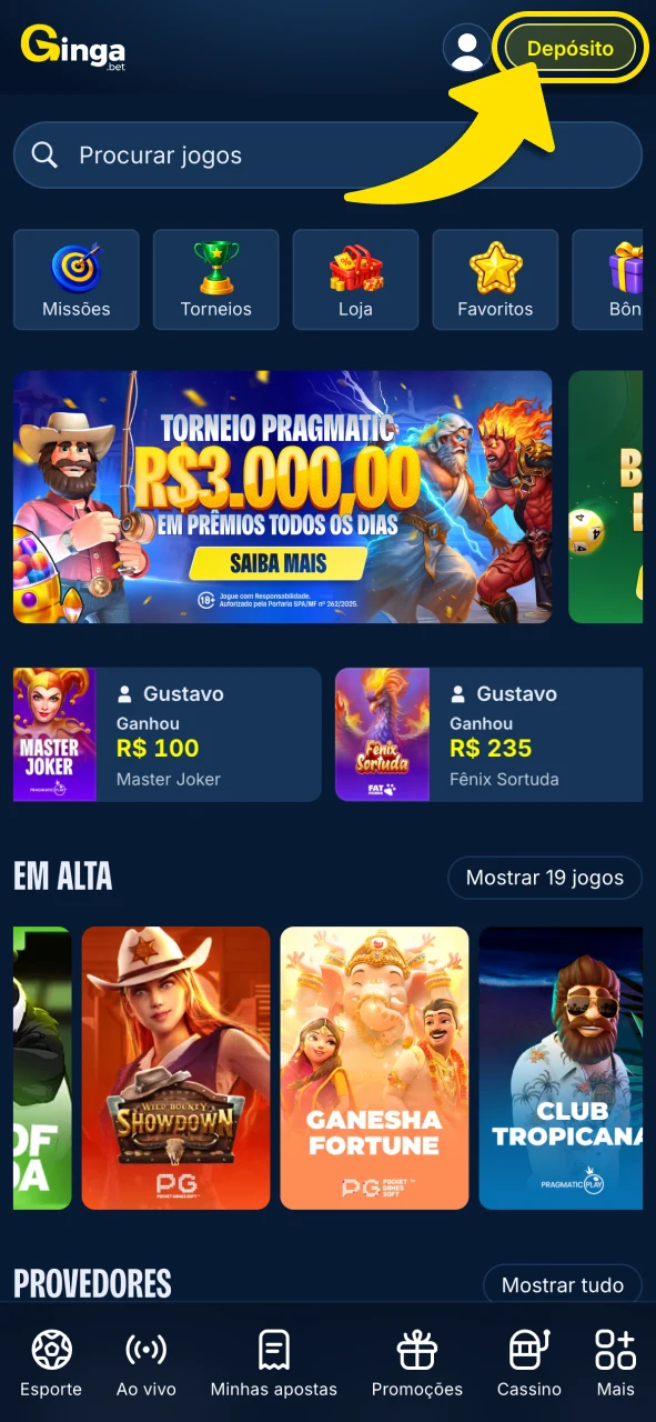 Gingabet abra a área de depósito e visualize métodos disponíveis rapidamente.