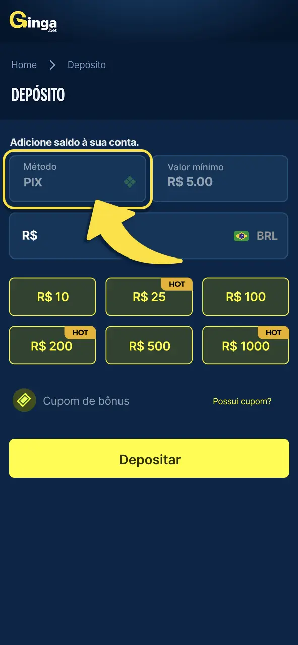 Gingabet selecione Pix ou outro método e continue a operação facilmente.